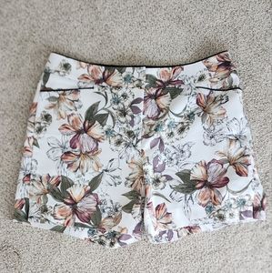 WHBM 5" Coastal stretch shorts